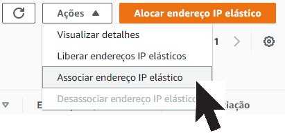 Associar endereço IP elástico