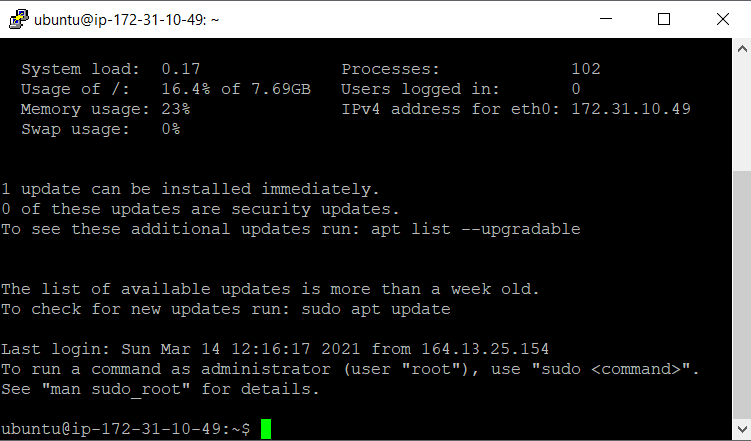 Shell da instância Linux
